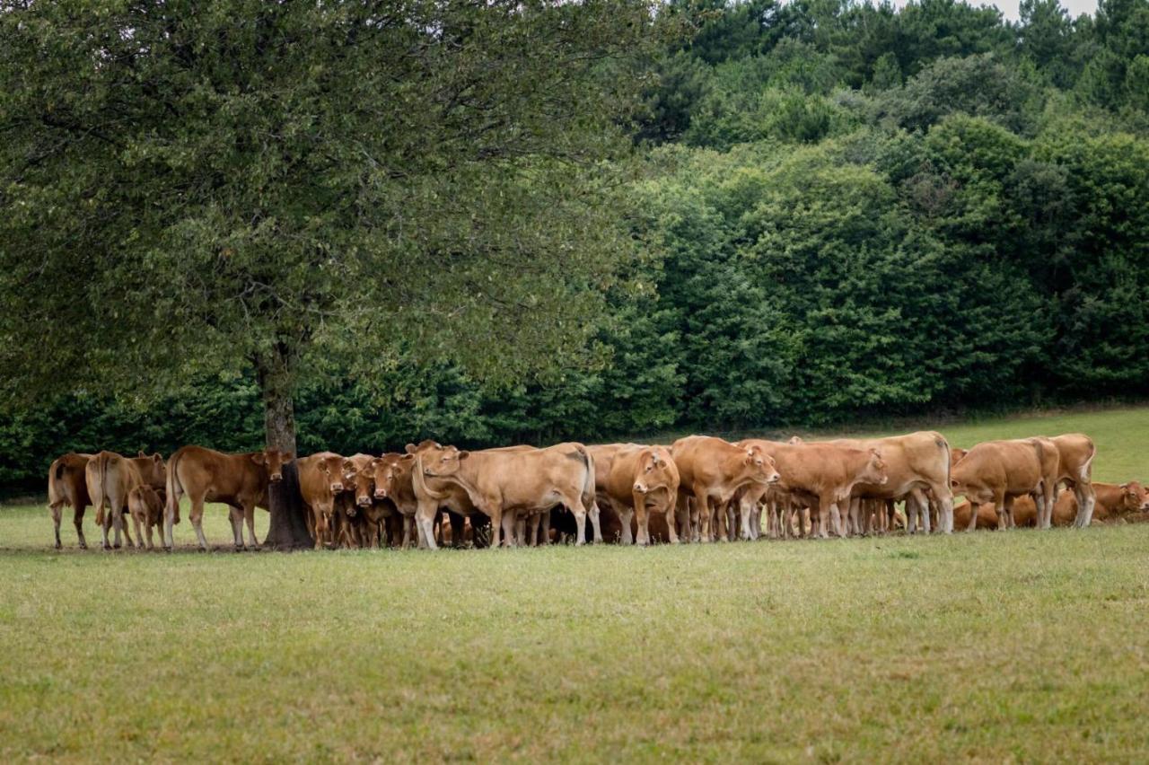 Willa Les Cabanes De Rouffignac Zewnętrze zdjęcie